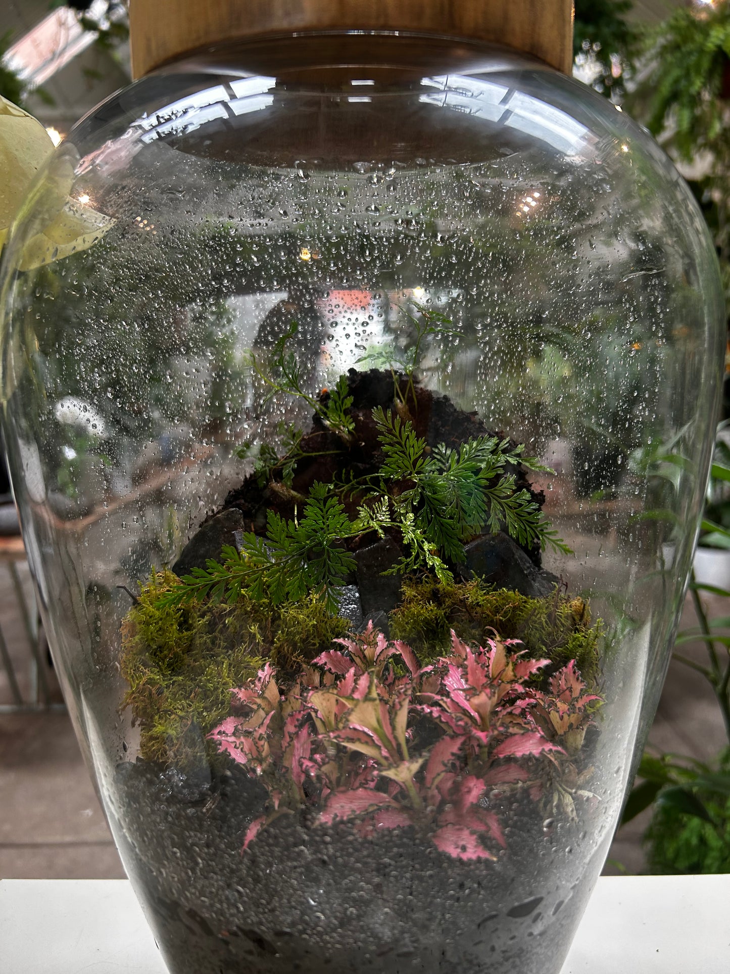 Large Handcrafted terrarium.