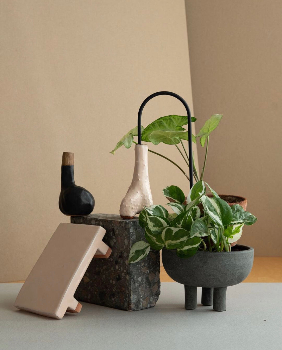 Plant straws