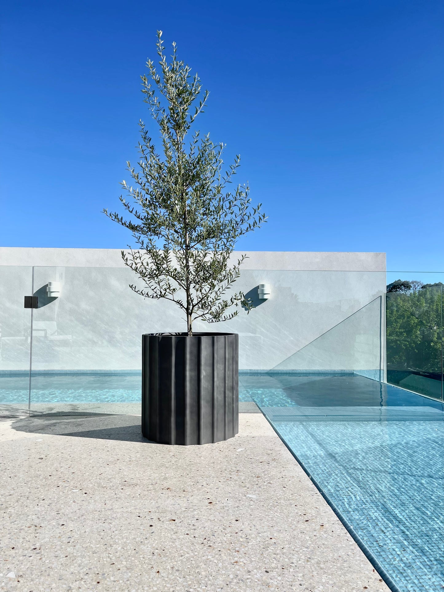 Olive - trolly upright