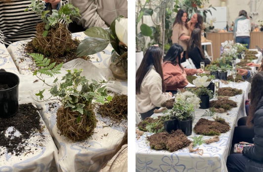 Tamandama Workshop with Live Moss; make your own moss tamandama in Melbourne!