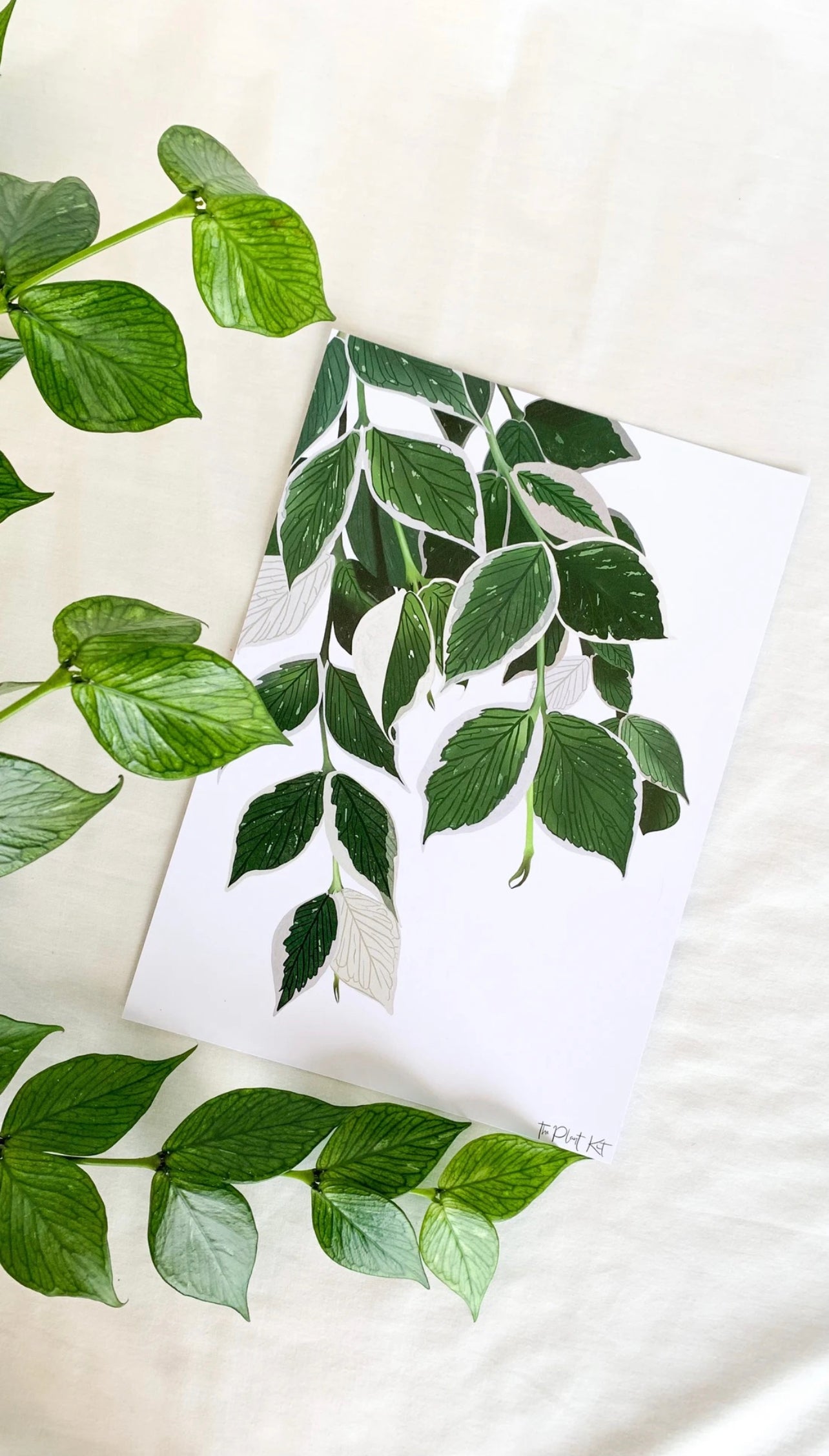 The Plant Kit - Art Prints