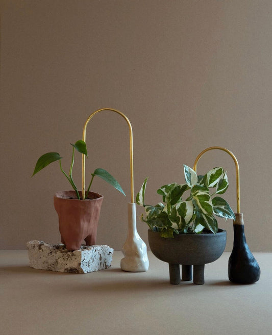 Plant straws
