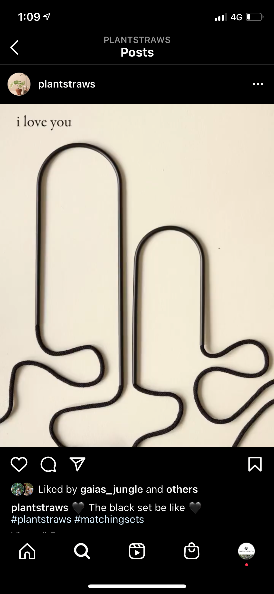 Plant straws