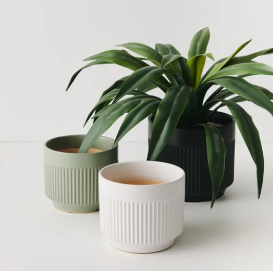 Floral Interiors "Dilu" Pot