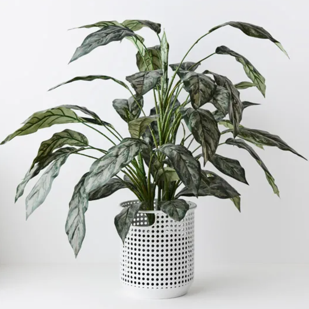 Floral Interiors "Baha Weave" Pot