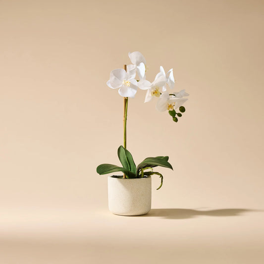 Real Touch Artificial Potted Butterfly Orchid