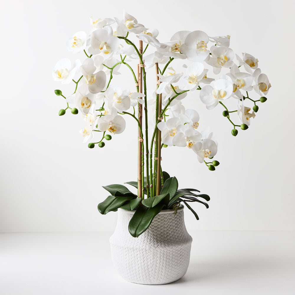 Real Touch Artificial Potted Phalaenopsis Orchid