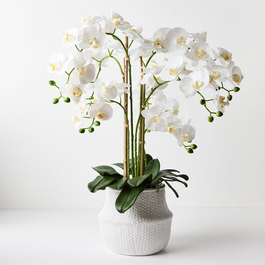 Real Touch Artificial Potted Phalaenopsis Orchid