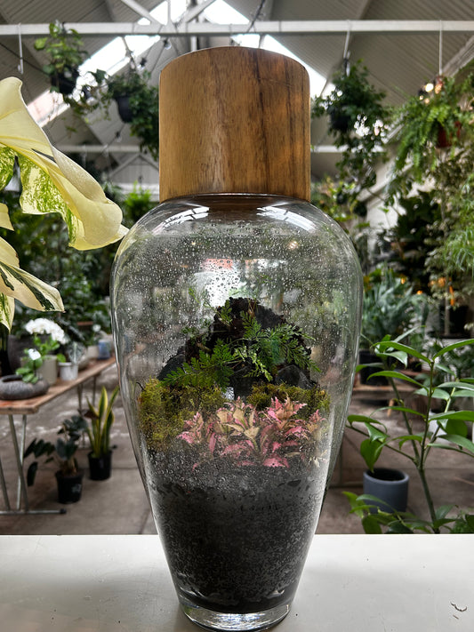 Large Handcrafted terrarium.