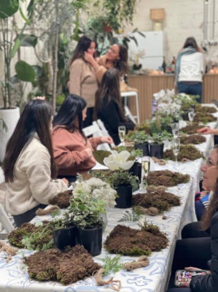 Kokedama Making Workshop with Live Moss; make indoor plants with a Japanese twist!