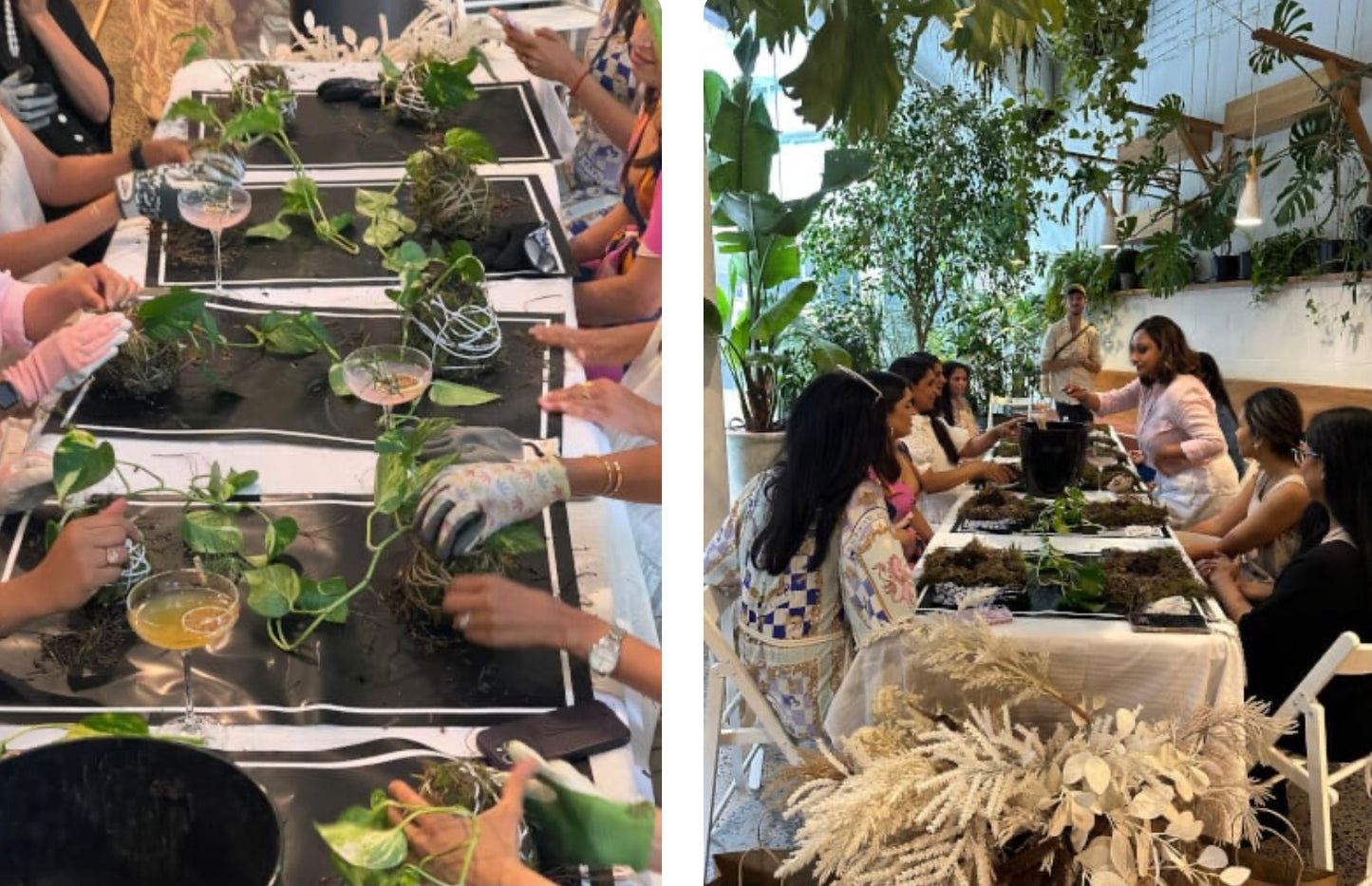 Kokedama Making Workshop with Live Moss; make indoor plants with a Japanese twist!