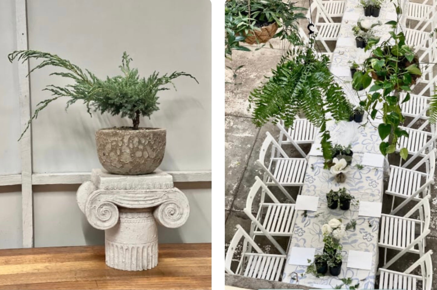 Wabi Sabi Plant Design Workshop; create your own living art