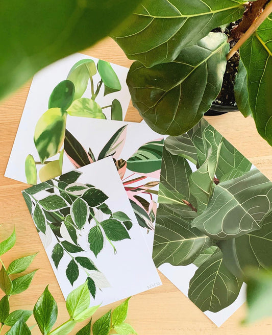 The Plant Kit - Art Prints