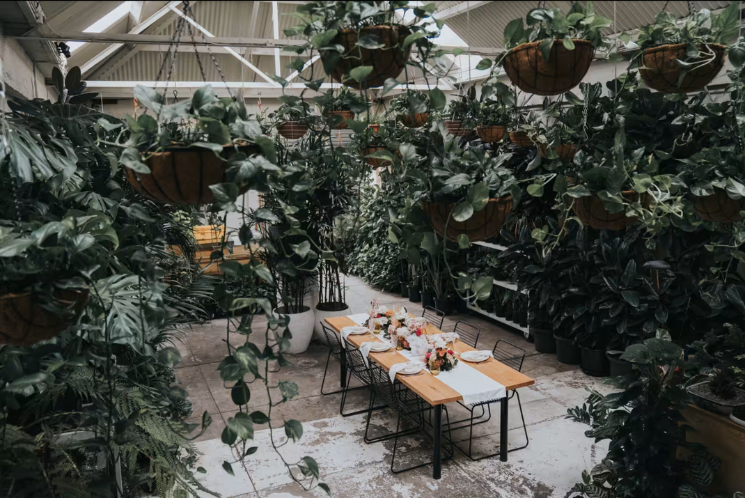 Venue hire – BOTANICAH SANCTUARY